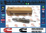 Fuel Injector1529790 49548884 4954644 4088301