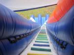 Commercial Giant Inflatable Slide for Sale