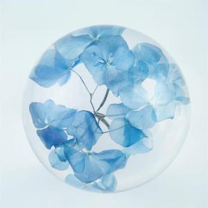 China Crafts Wholesale Home Decoration Paper Weight Clear Acrylic Ball Resin Paperweight Hydrangea Flower Inside Acrylic Resin Balls on sale