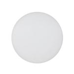 Tuya Control Smart Kitchen 30cm 12 Inch 18w Round LED Ceiling Light Bulb