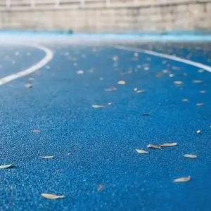 Wholesale Indoor Synthetic Athletic Track EPDM Rubber Granule For Stadium Sports 9-13mm from china suppliers