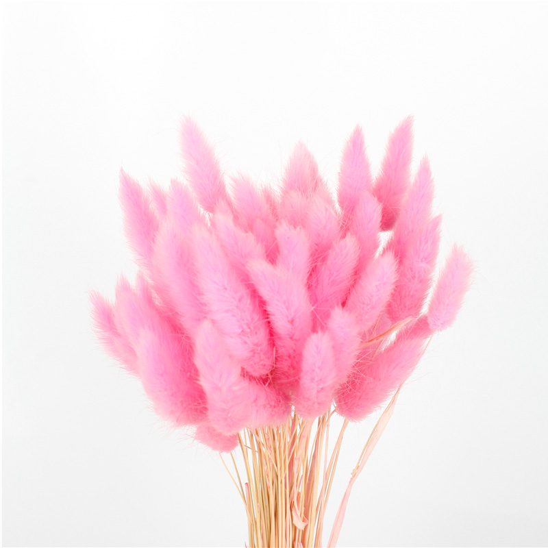 Home Decoration Beautiful Dried Flowers Rabbit Tail Grass Custom Color
