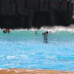 Vacuum Wave Pool Water Park Environmental Friendly LANCHAO-WP01