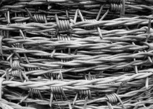 Wholesale Garden Anti-Theft 12.5 Gauge Double Twisted Galvanized Barbed Wire from china suppliers