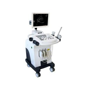 Wholesale GH-370 Medical Ultrasound Machine Trolley Full Digital B W Ultrasonic Diagnostic Equipment from china suppliers