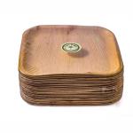 SGS 100% Biobased Palm Leaf Plates Disposable For Children'S Birthday Party