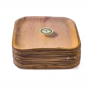 Wholesale Biodegradable Disposable 10 Inch Square Areca Palm Leaf Plates For Corporate Events from china suppliers