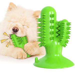 Wholesale Cactus Dog Teeth Cleaning Chew Toy Squeaky Rubber Relieve Anxiety TPR OEM from china suppliers