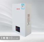 20kw 40kw Natural Gas Water Boiler Wall Mounted Tankless Hot Water Boiler