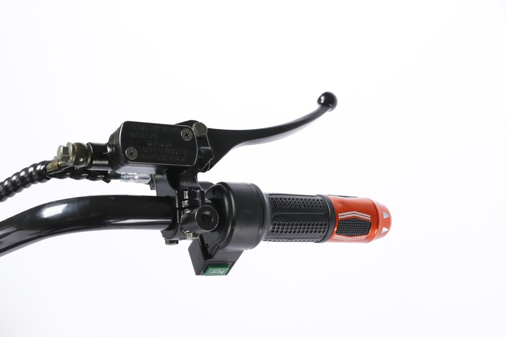 Double Battery Citycoco Big Wheel Electric Scooter 1000W With Hydraulic Disc Brake