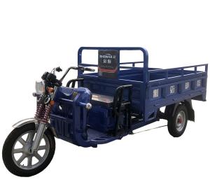 Wholesale Pedal 15 Degree 1000w Cargo Tricycle Bicycle from china suppliers
