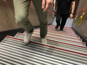 Wholesale Waterproof Entrance Matting Carpet , 2000mm Aluminium Entrance Matting from china suppliers