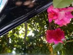Decorative Mirror Stainless Steel Panel Suppliers China Foshan Manufacturer