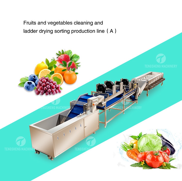 Circulating Hole Fruit Processing Line , Tengsheng Roller Conveying Vegetable Processing Line