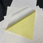 PVC Adhesive Sticker With High Water And Heat Resistance Performance