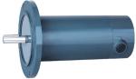 NEMA56C 90/180V DC MOTOR