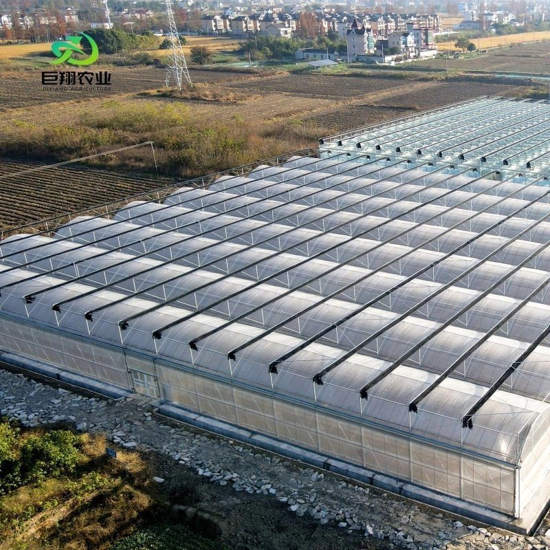 Greenhouse Hydroponics Growing System for Vegetables Flowers