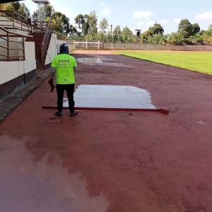 Wholesale Sandwich System Tartan Stadium Running Track Material Training Center from china suppliers