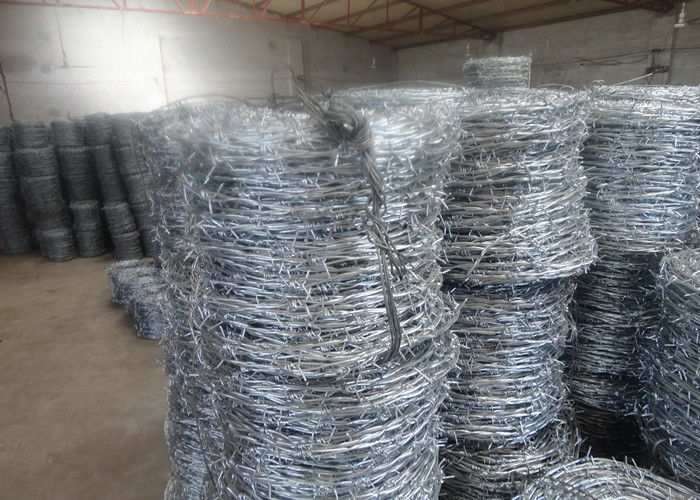 1000mm SWG14x14# Hot Dipped Galvanized High Tensile Barbed Wire