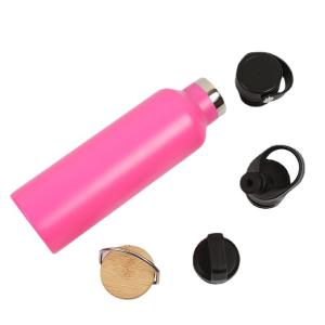 Wholesale Insulated Bpa Free Double Wall Stainless Steel Vacuum Flask With Lids Customized from china suppliers