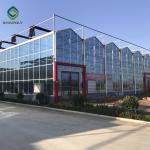 Alloy Transparent 9.6m Commercial Glass Greenhouse