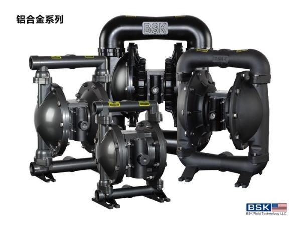 Membrane Dual Air Operated Diaphragm Pump 1 Inch Non Leakage For Petrochemical
