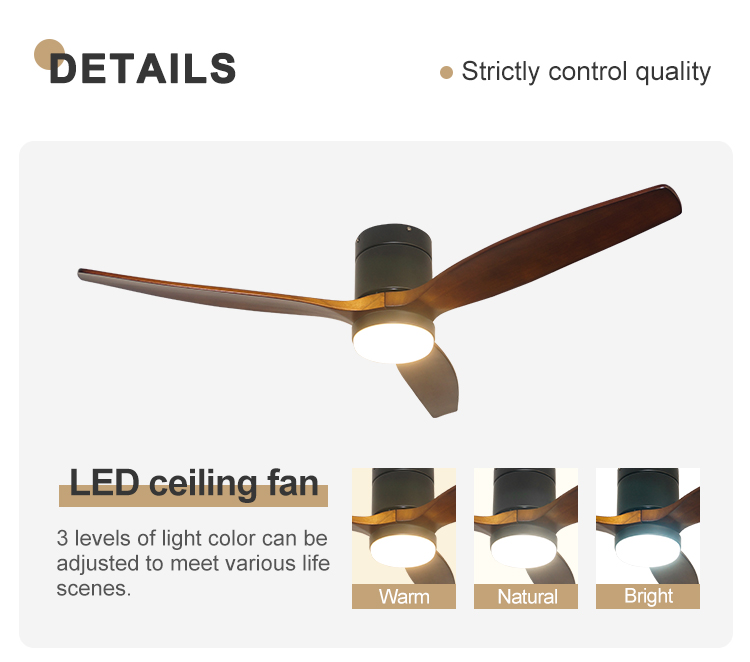 ceiling fan