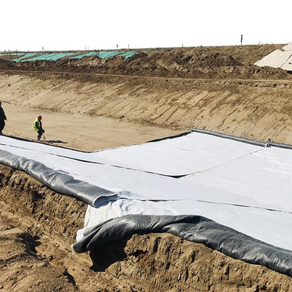 s Municipal Water Conservancy Market Geosynthetic Clay Liner for Waterproof