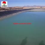 300micron 500micron 750micron 1000micron Reservoir Liners for Outdoor in Fish