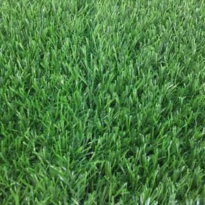 Wholesale 20mm Pile Pet Turf Grass For Roof Covering Hotel Outdoor Tile Flooring from china suppliers