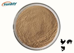 Wholesale Sunhy Improve Gut Health Functional Feed Additives For farm animals from china suppliers