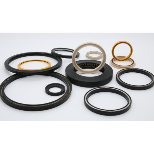 PTFE PEEK Material Spring Energized Seals For Food Machinery Anti Corrosion
