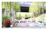 Customer's Logo Square Mini Rigid Paper Rose Soap Flower Box for Gift Bouquet