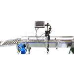 3000BPH PET Bottle Mineral Water Production Line 500ml Rinsing Filling Capping