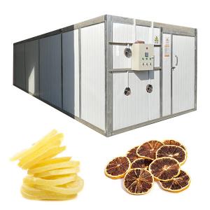 China Food Grade Stainless Steel Lemon Slices Heat Pump Fruit Dryer 60 Trays on sale