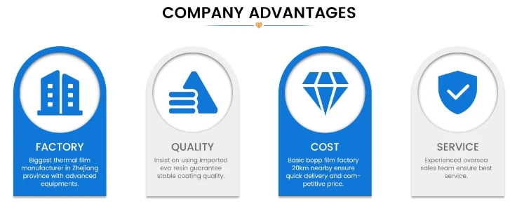 Customized Laminated Material PE Coated Metalized Film for Heat Insulation