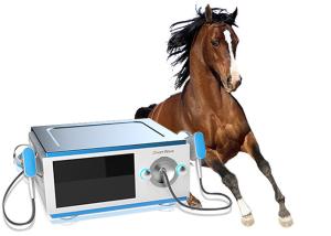 Wholesale Aluminum Alloy Shockwave Therapy Equipment With 1 - 22Hz Pulse Frequency High Energy from china suppliers
