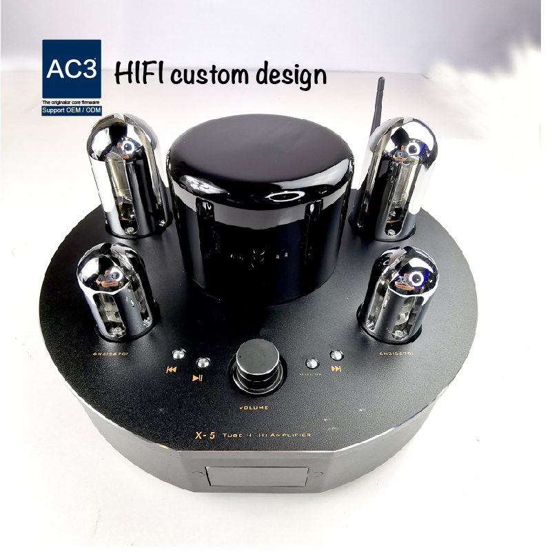 Home Mini Tube Amplifier