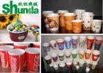 Efficient Thermal Air & Ultrasonic Disposable Paper Cup Forming Machine - High
