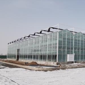 Wholesale Semi-Closed Glass Greenhouse for Agricultural Farming in Tunnel Cultivation Method from china suppliers
