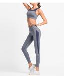 Women Fitness Wear Leggings Side With Mesh