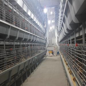 Wholesale Galvanized Broiler Battery Chicken Cage Poultry Farm Equipment For Meat Chicken from china suppliers