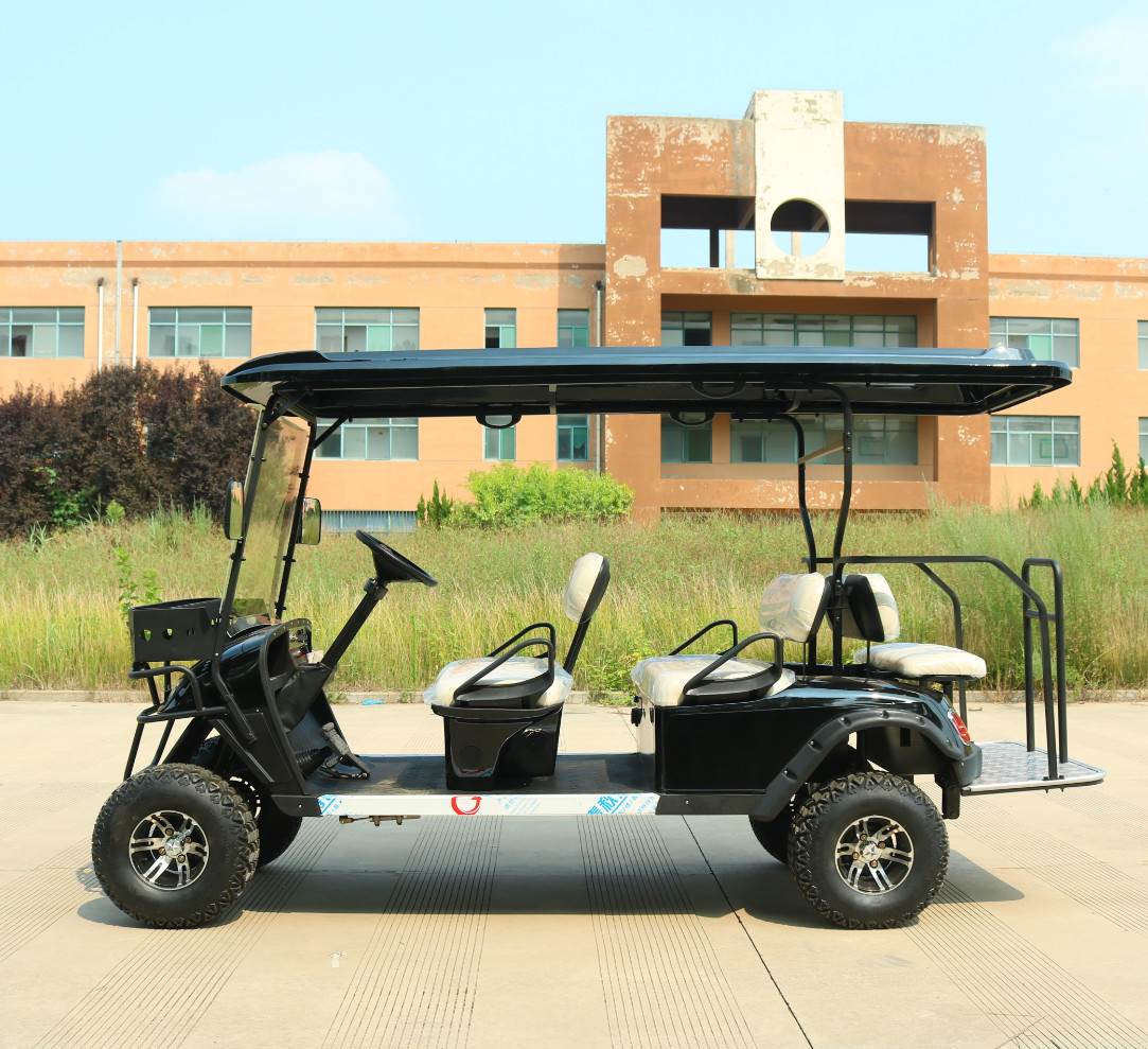 Customizable Rechargeable High-end Electric Golf Buggy CE Approved Electric Golf Cart