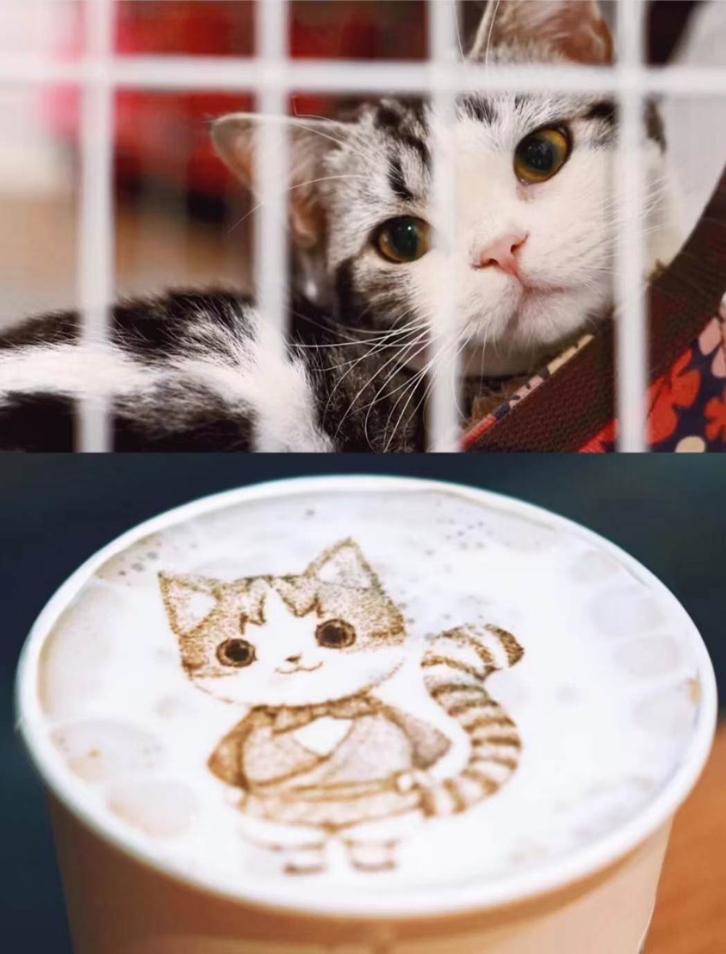 EVEBOT Coffee Printing Machine with Wifi Tablet for Milk Biscuits Cafe