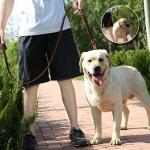 Luxury Handmade Dog Leather Leashes Easy Control Braided Style Comfortable Hand