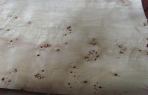 Wholesale Natural Burl Furniture Wood Veneer Poplar With AA / A / AB Grade from china suppliers