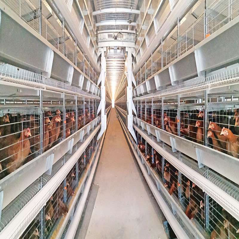 Husbandry Equipment Poultry Battery Cage Layer Chicken Animal A Type Q235