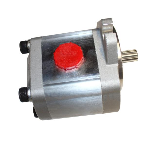 Portable Stainless Steel Electric 110V 220V Gear Pump for Food Grade Lube Oil