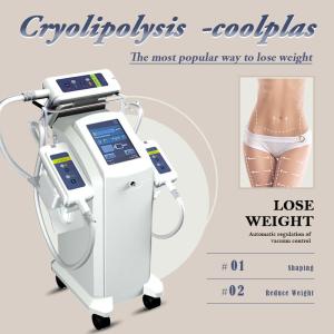 Wholesale Body Slimming Cryo Fat Reduction Machine , Cryolipolysis Equipment from china suppliers