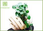Unique Bamboo Plant Pot Hanging Flower Box , Bamboo Flower Containers Customized